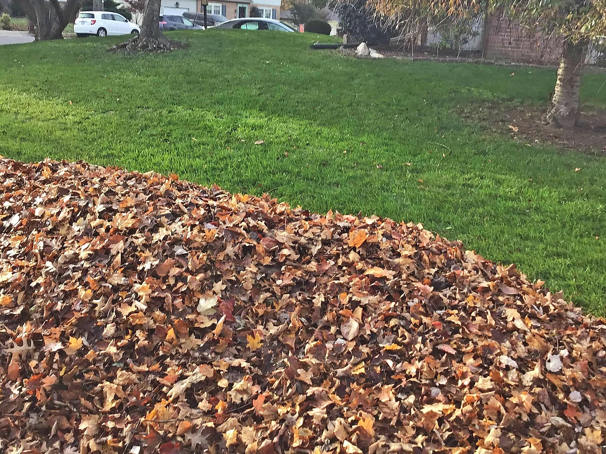 Fall Cleanup in Progress